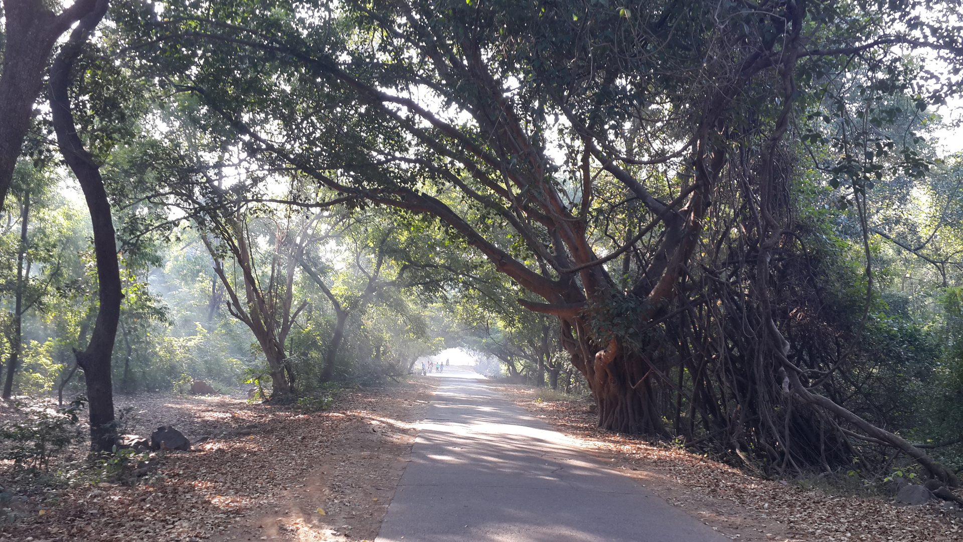 Veerangana Durgavati Tiger Reserve
